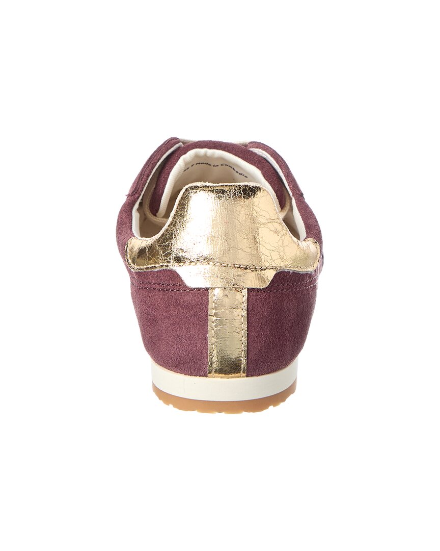 Dolce Vita | Womens | Diallo Sneaker | Purple