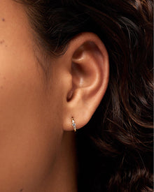 14K Gold Plated Cubic Zirconia Huggie Hoops Earrings For Women Ana Luisa Rosie