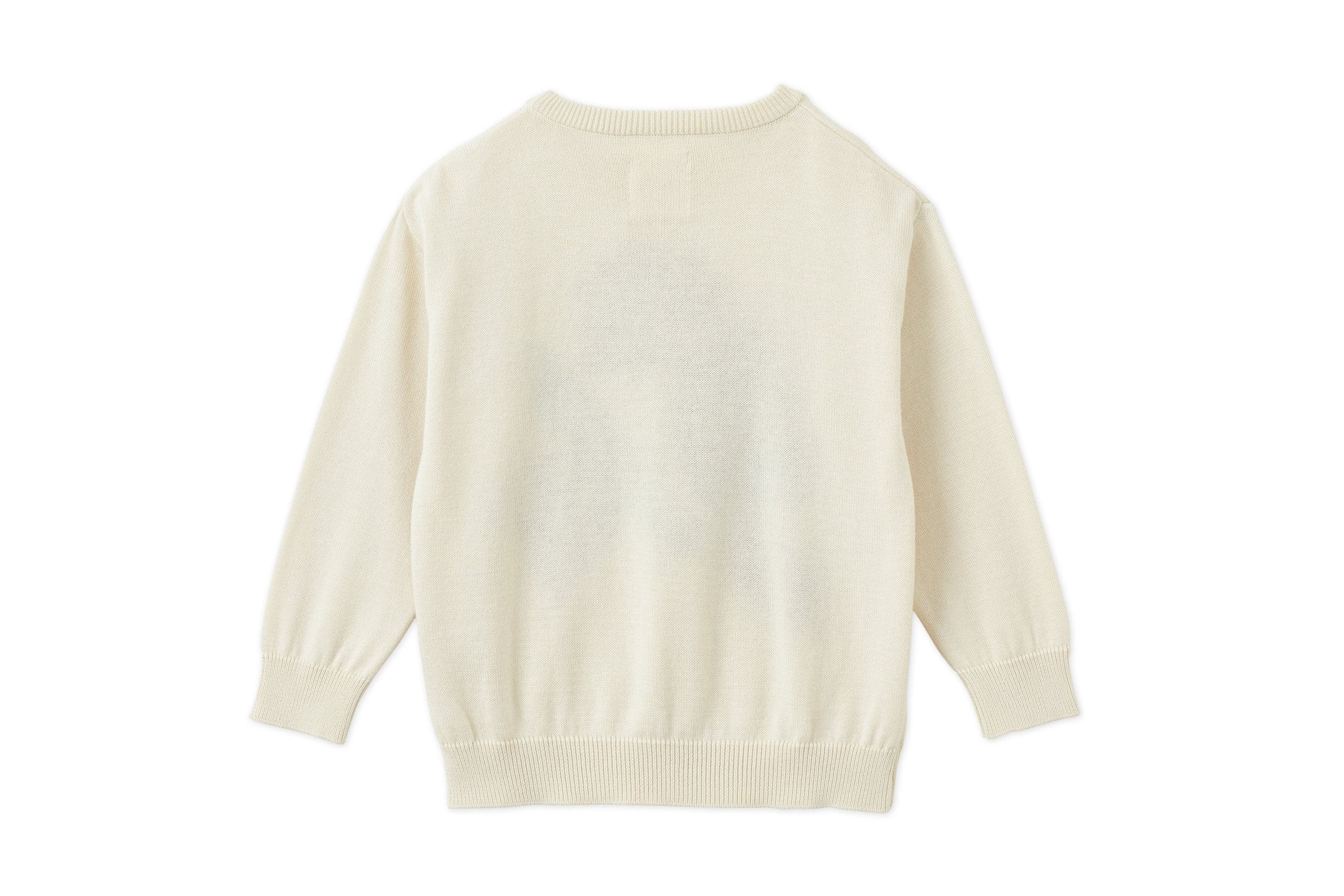 Unisex | Organic Cotton Intarsia-Knit Pullover | Vild Lab No. 12 - Earth Rocks! Print
