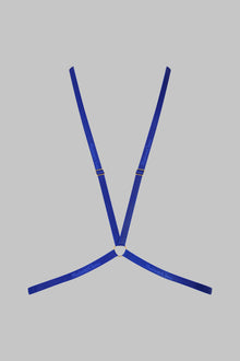 Harness - Signature | Blue