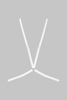 Harness - Signature | Blue