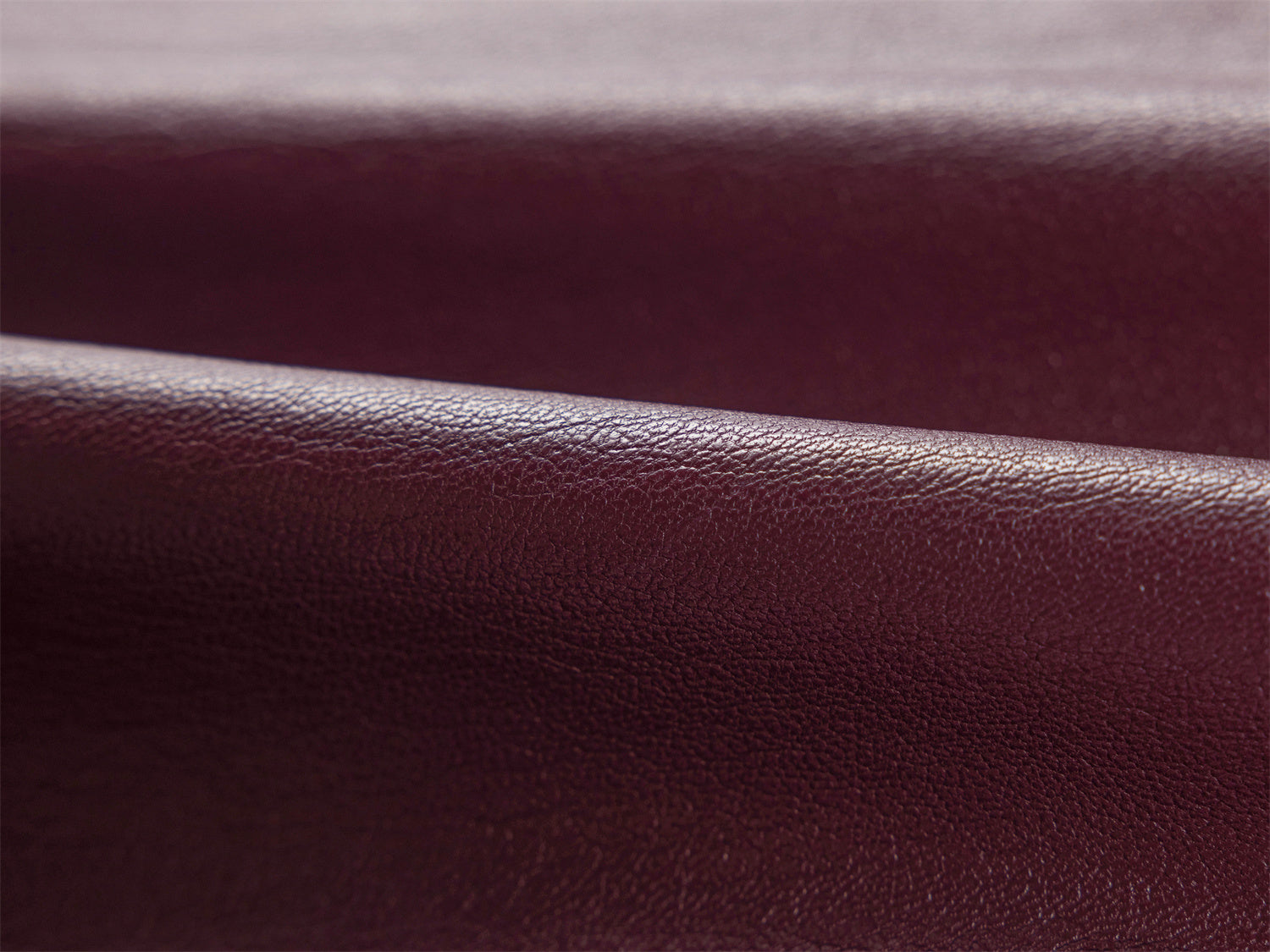 Faux Leather Pant | Wine Red