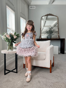 Baby Girls | Mia and Ombré Cupcake Tulle Dress | Grey & Pink
