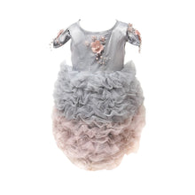 Baby Girls | Mia and Ombré Cupcake Tulle Dress | Grey & Pink