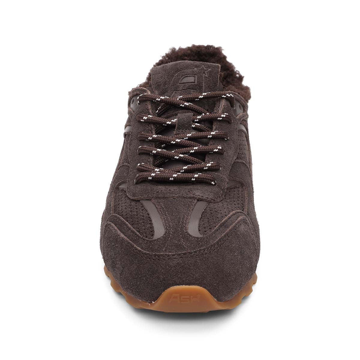 Africa Brown