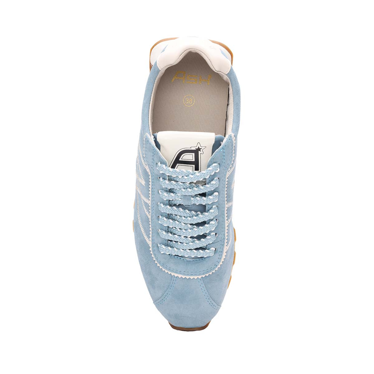 Shark / White
