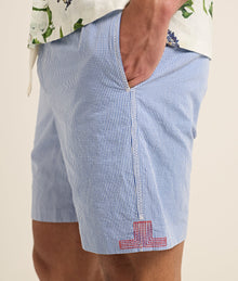 Alex Gingham Relaxed Fit Fine Gingham Drawcord Shorts | Blue/White