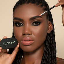 Color + Shape Brow Powder Duo | Dark Brow