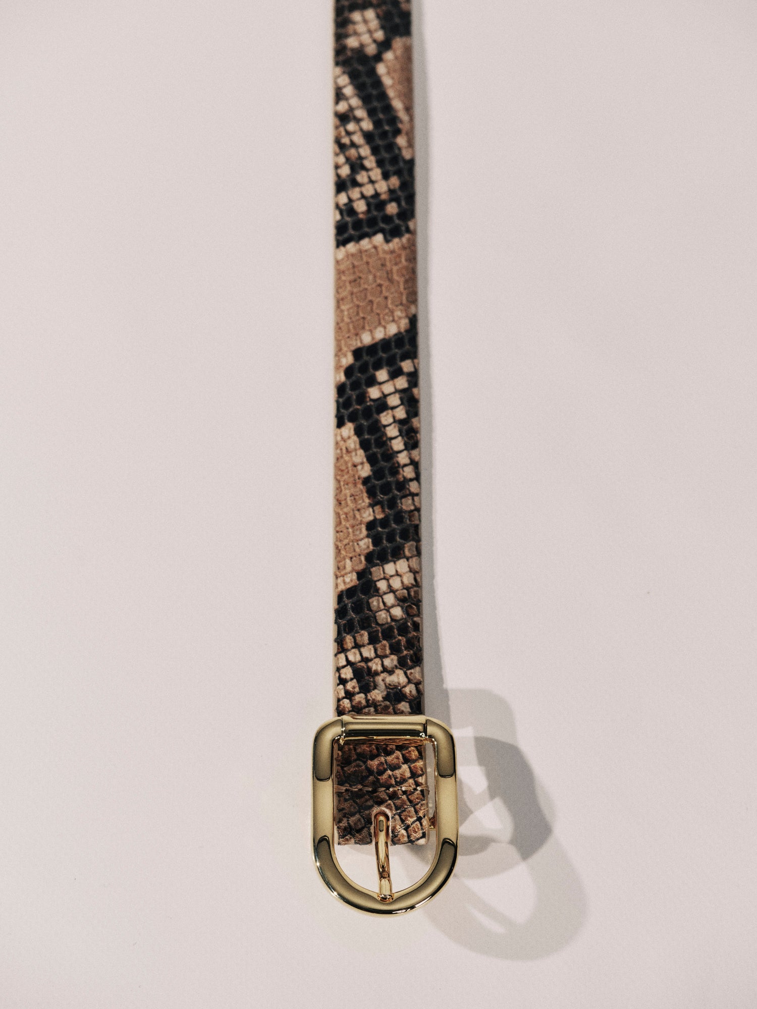 Mija Belt | Sahara Snake & 24K Gold