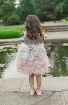 Baby Girls | Mia and Ombré Cupcake Tulle Dress | Grey & Pink