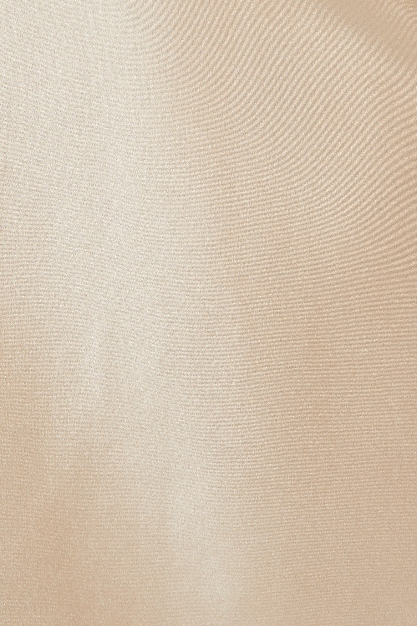 Silk Pintuck Chemise | Mink