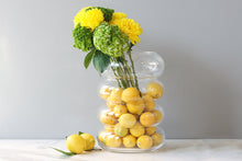 GEY464LC9 etuhome scalloped flower vase large