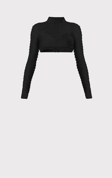 Hervé Léger X Law Roach Ribbon Embroidered Crop Top | Black