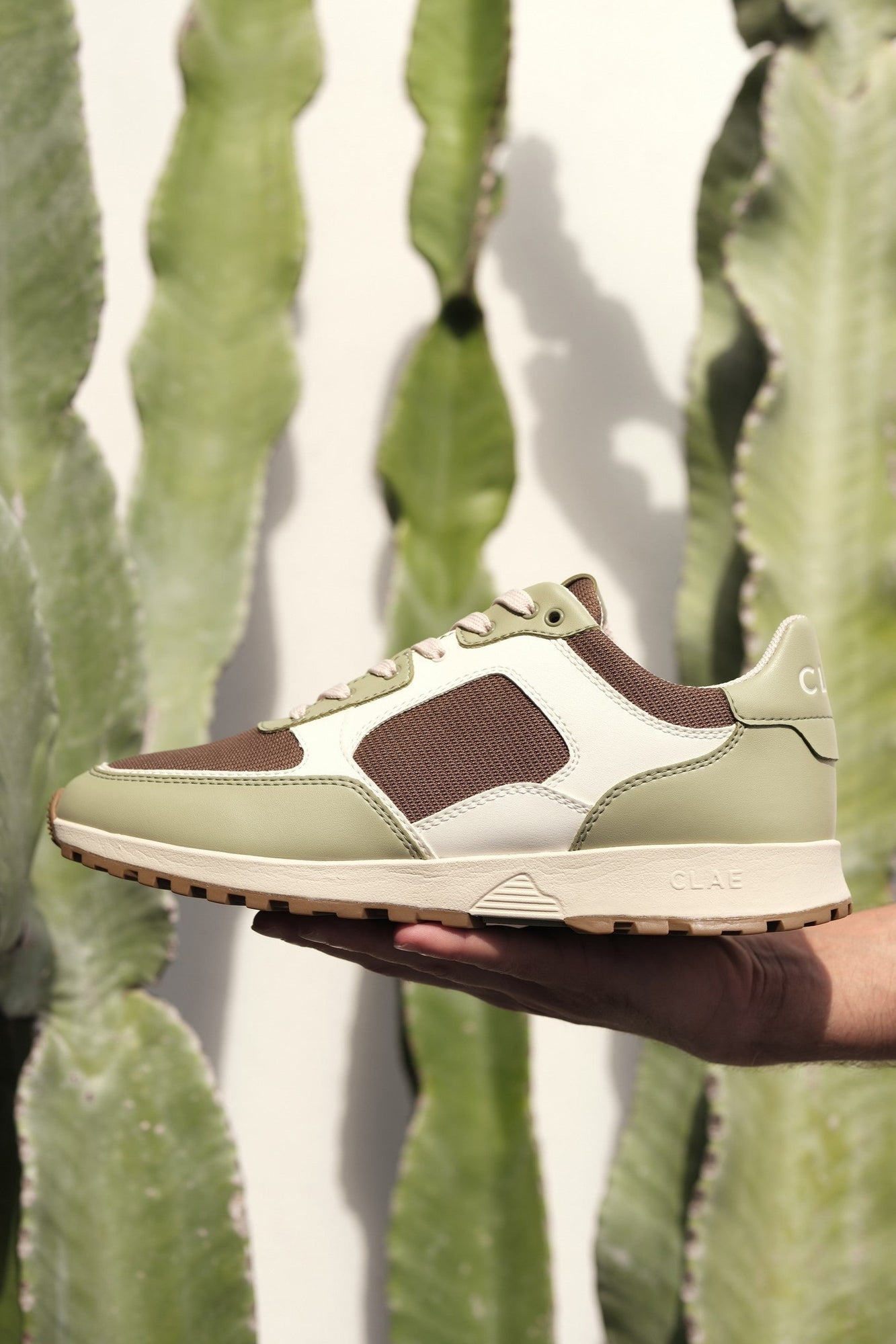 Unisex | Joshua Cactus | Sage White Brown