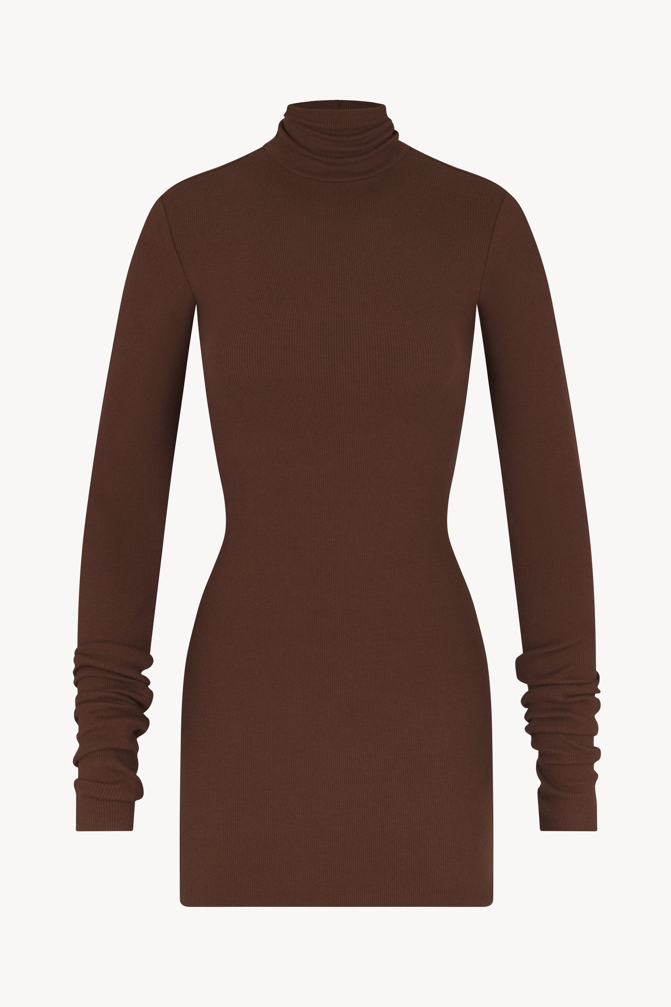 LONG SLEEVE TURTLENECK MINI DRESS - ETERNE