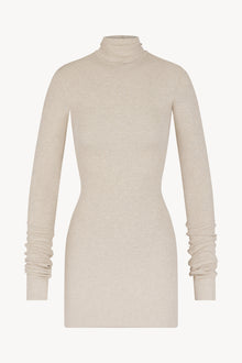 LONG SLEEVE TURTLENECK MINI DRESS - ETERNE
