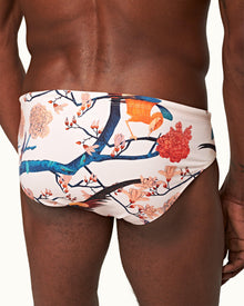 Rose Flight Of Fantasy Classic Swim Briefs | Rose