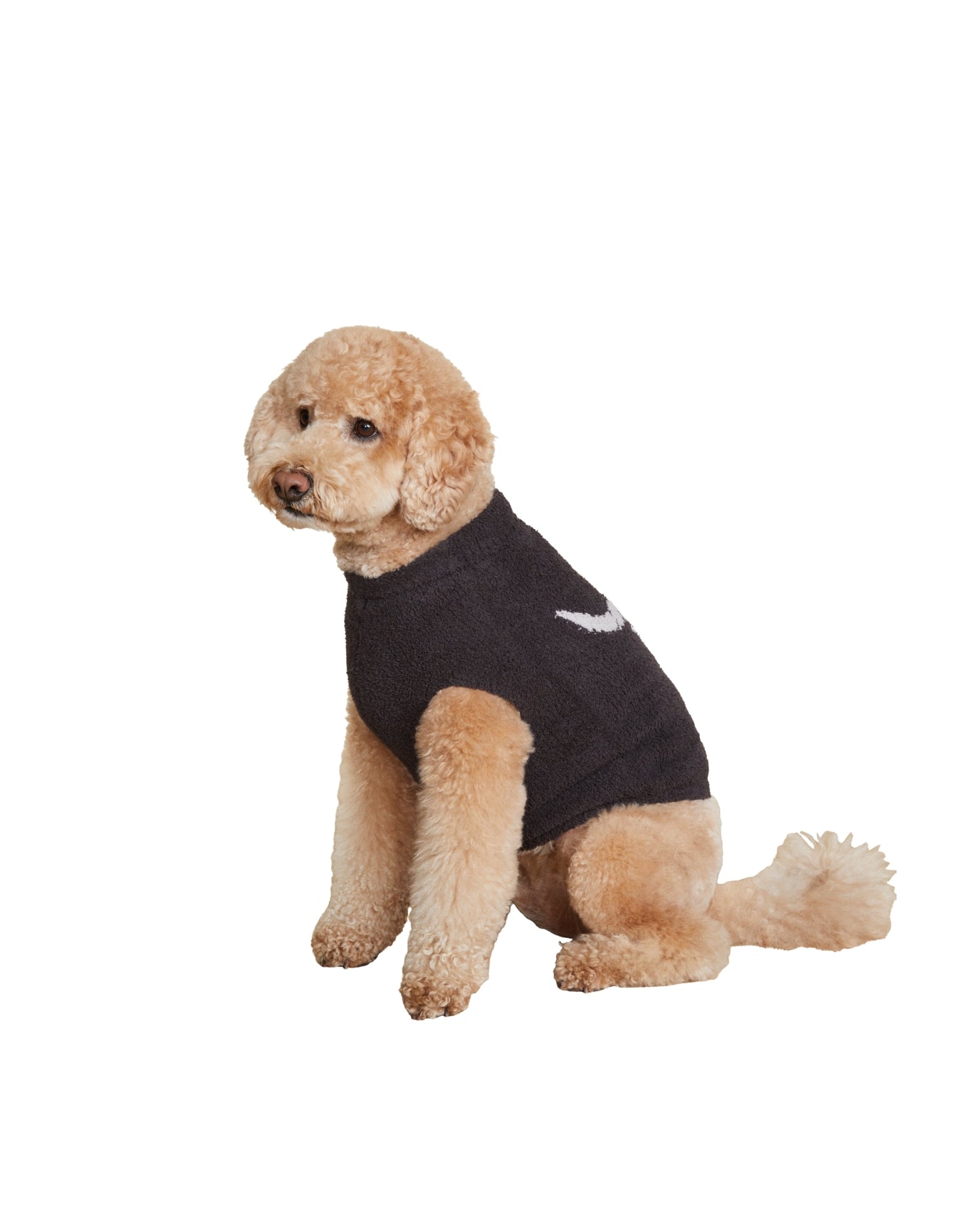 Pet | Cozychic Longhorn Skull Sweater | Carbon-Oyster