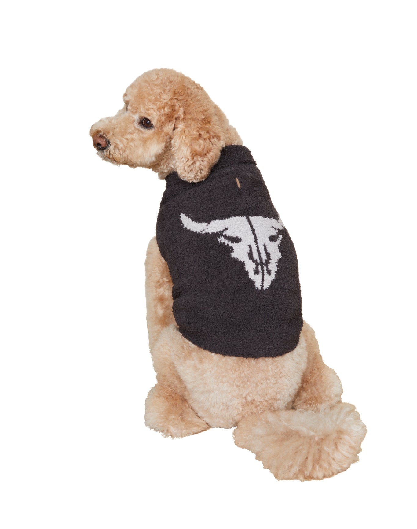 Pet | Cozychic Longhorn Skull Sweater | Carbon-Oyster