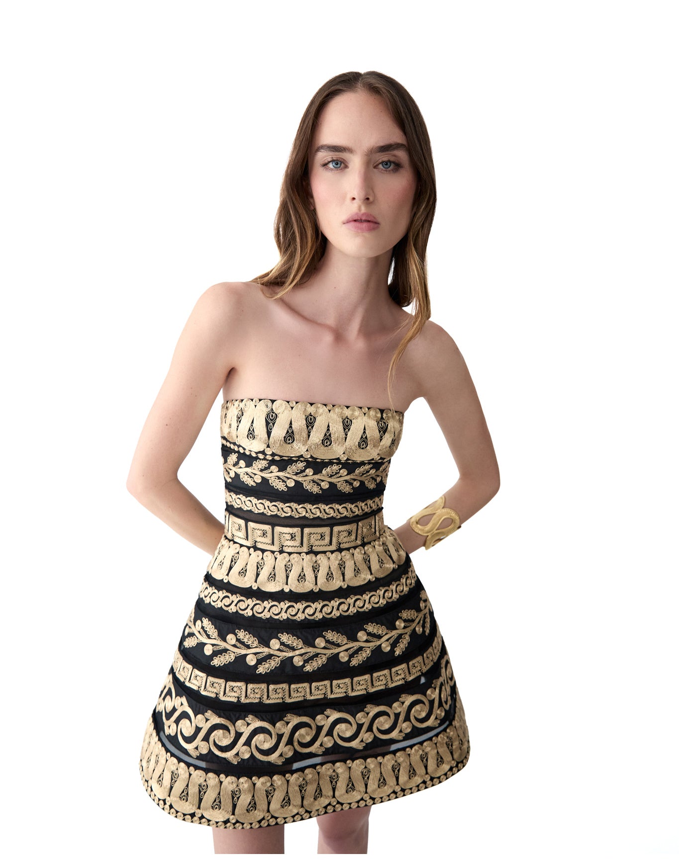 Embroidered Strapless Mini Dress | Gold Multi