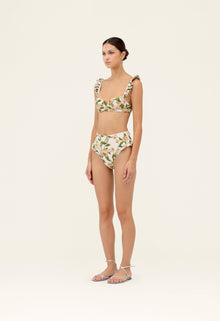 Secreto-Jengibre-Orquidea-Bikini-bottom-19263-1.jpg