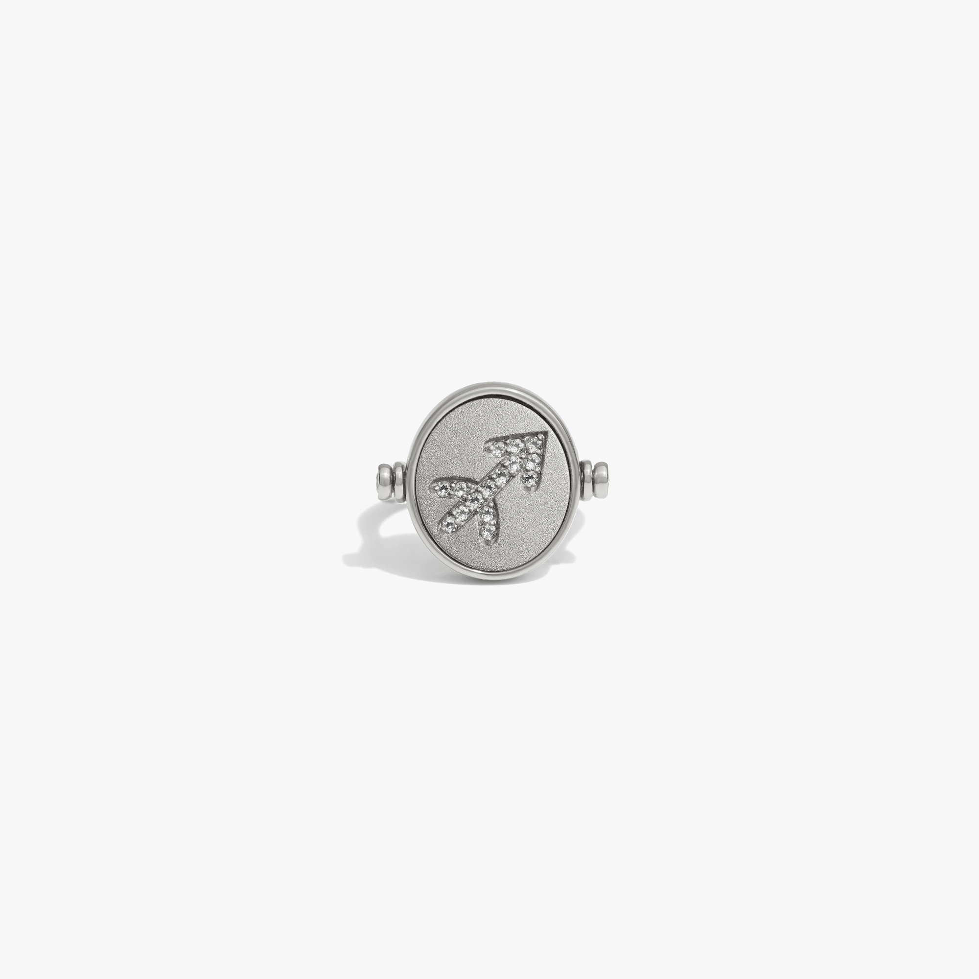 Awe Inspired  Rings Zodiac Element Flip Ring