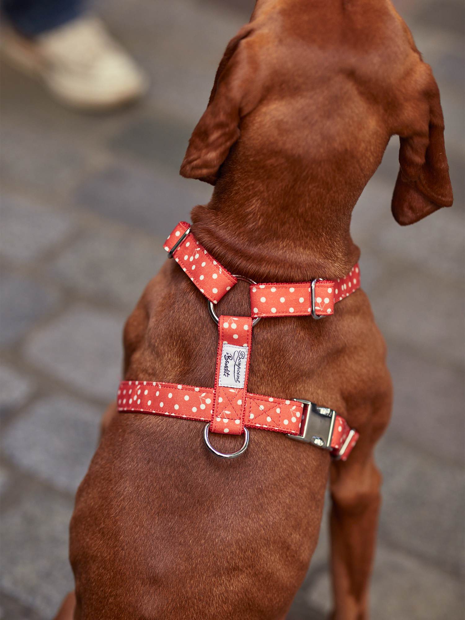 Pet | Dog Harness | Red