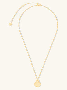 Seashell Locket Necklace | 14K Gold Plated Brass