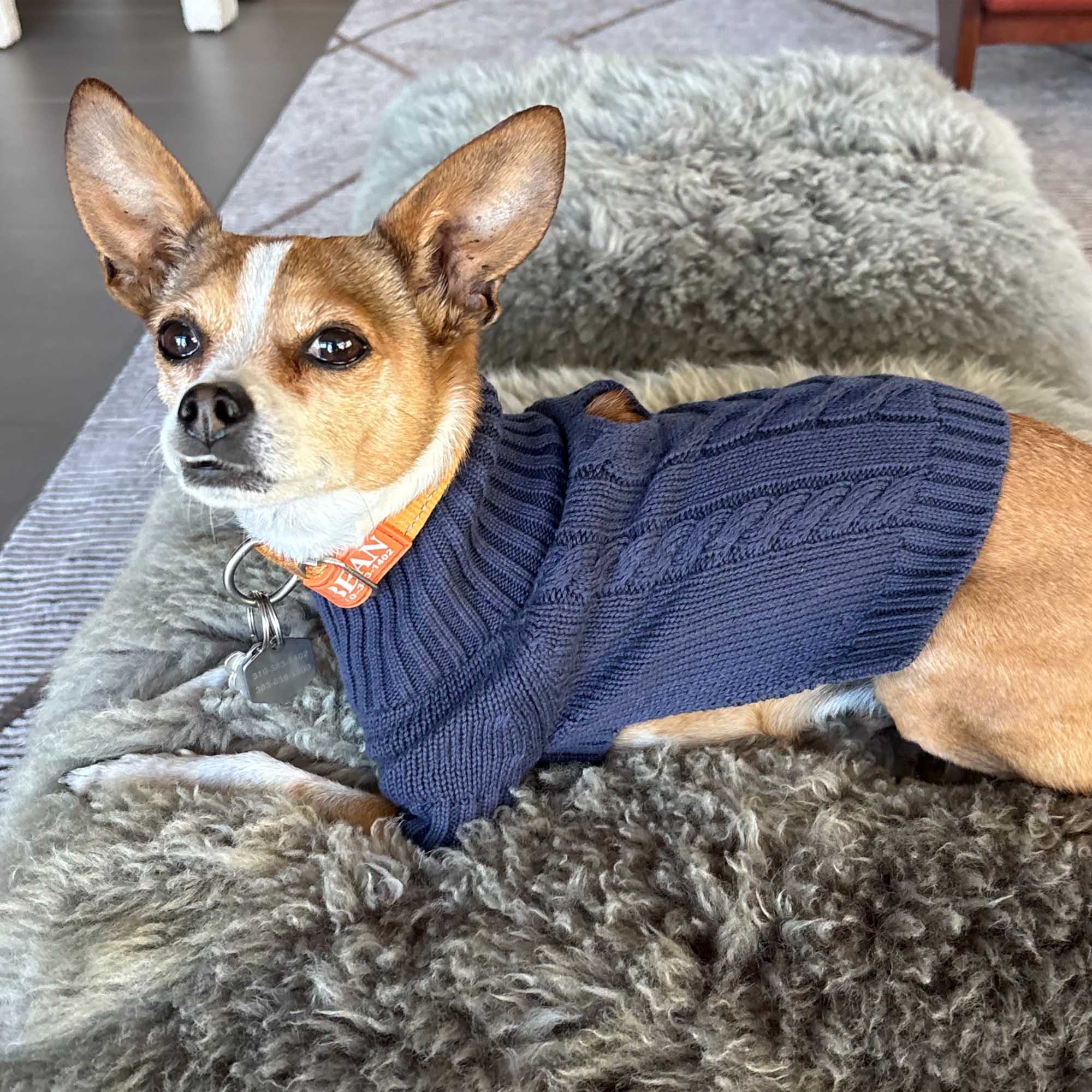 Dixie Dog Sweater | Light Navy