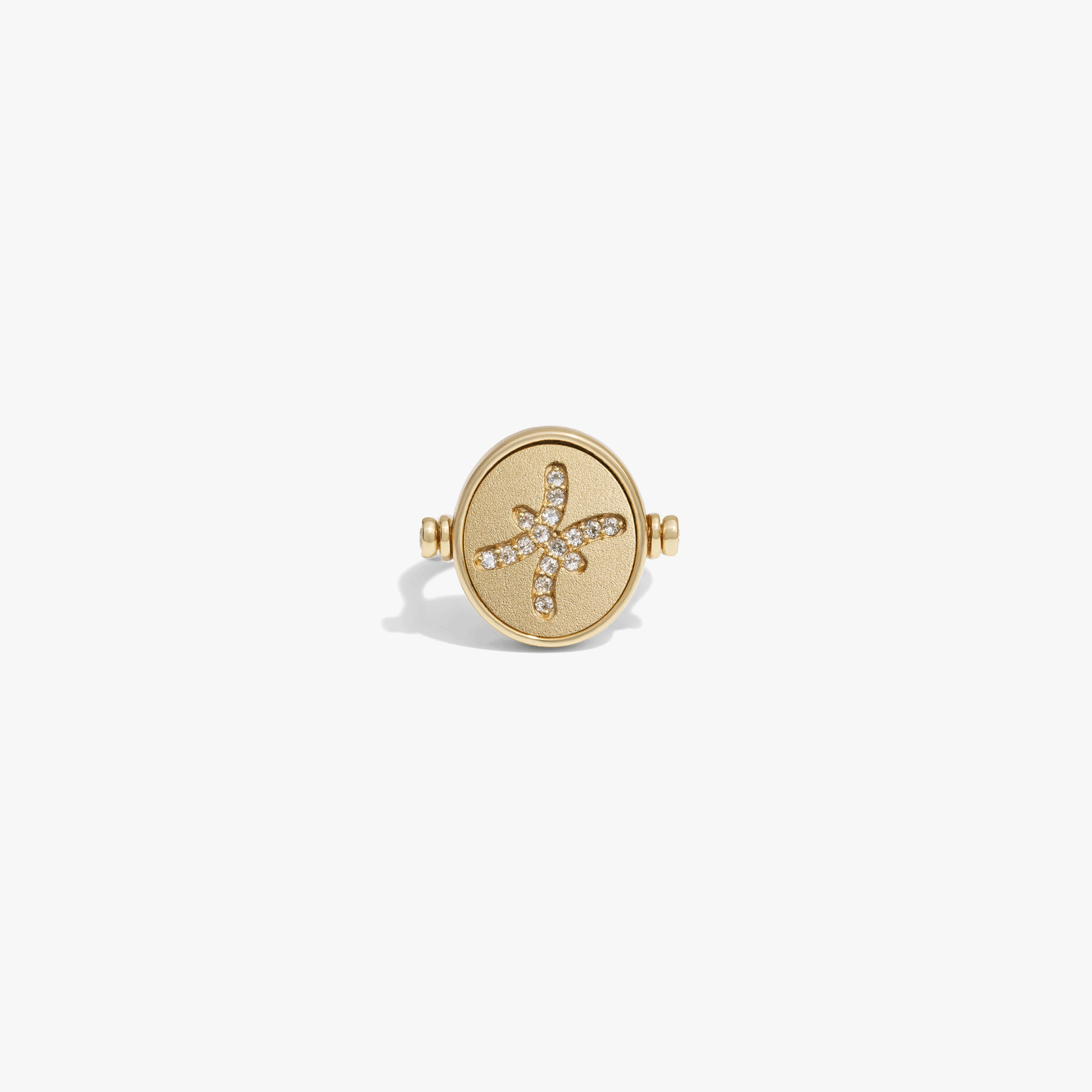 Awe Inspired  Rings Zodiac Element Flip Ring