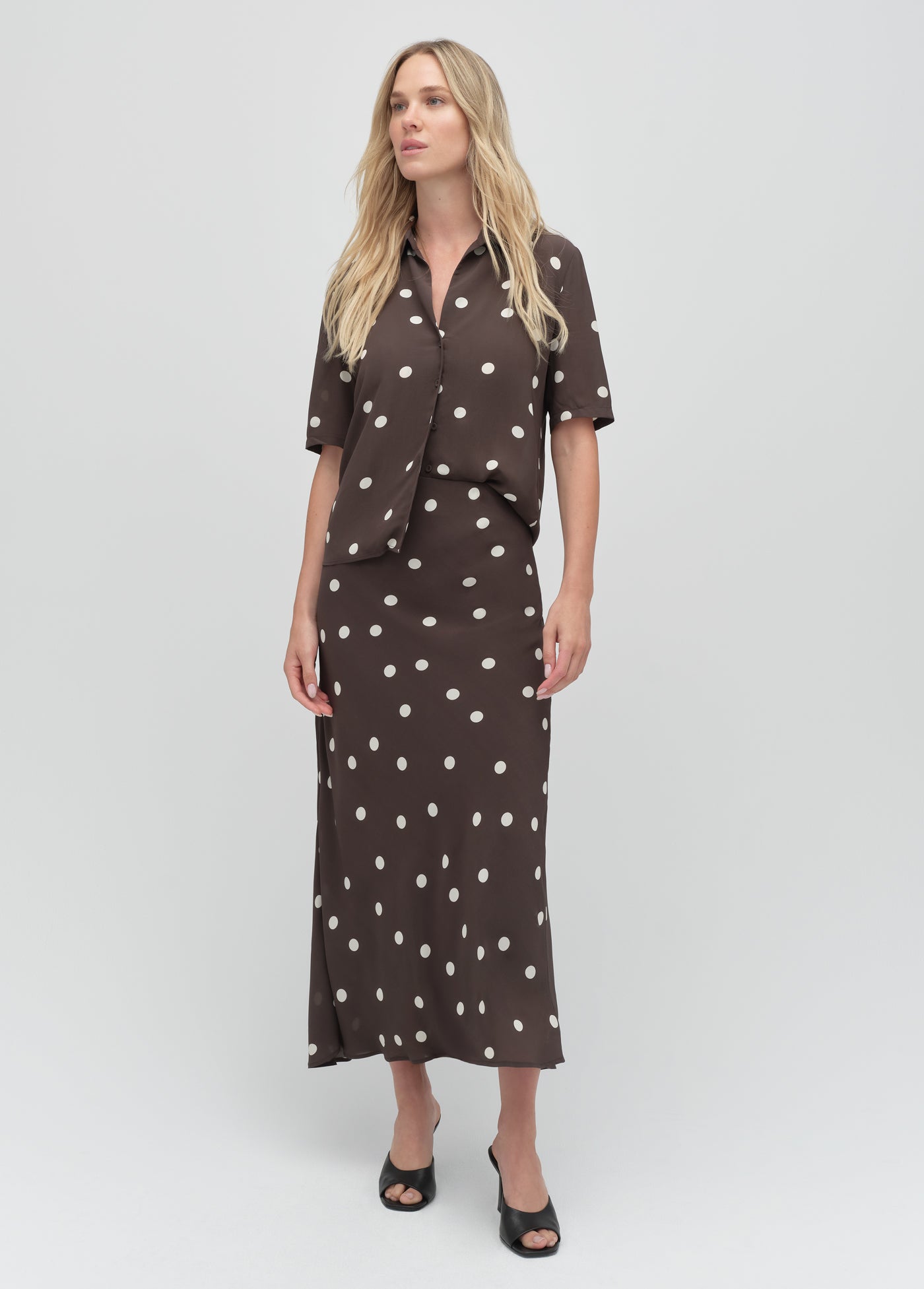espresso polka dot