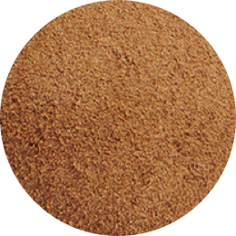 Mens | Alejandro Smooth Slip On | Smooth Suede