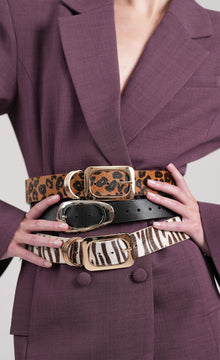 Vince Belt | Zebra